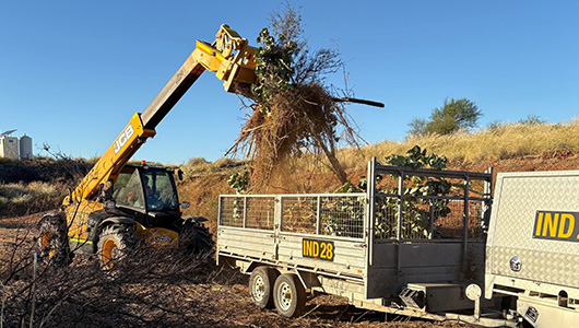 Vegetation Management