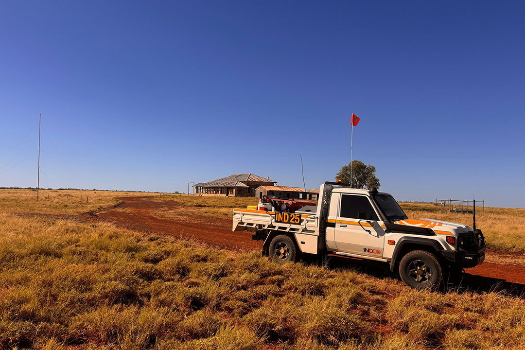 Feral Pest Management by INDCO
