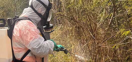 Vegetation Management Spraying