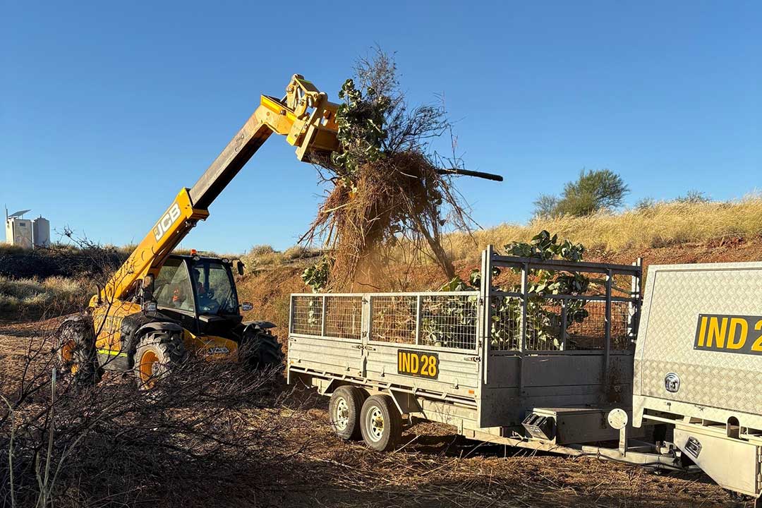 Vegetation Management by INDCO